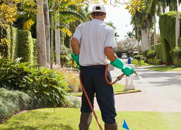 About El Dorado CA Pest Control